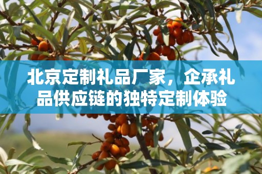 北京定制礼品厂家，企承礼品供应链的独特定制体验
